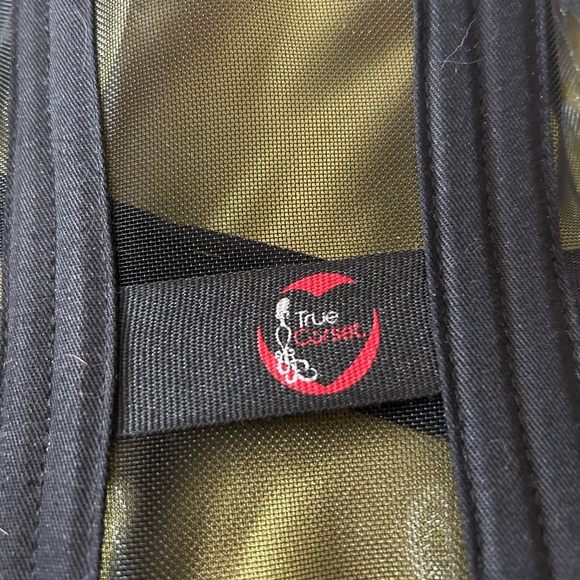 Sheer Corset - Picture 4 of 4